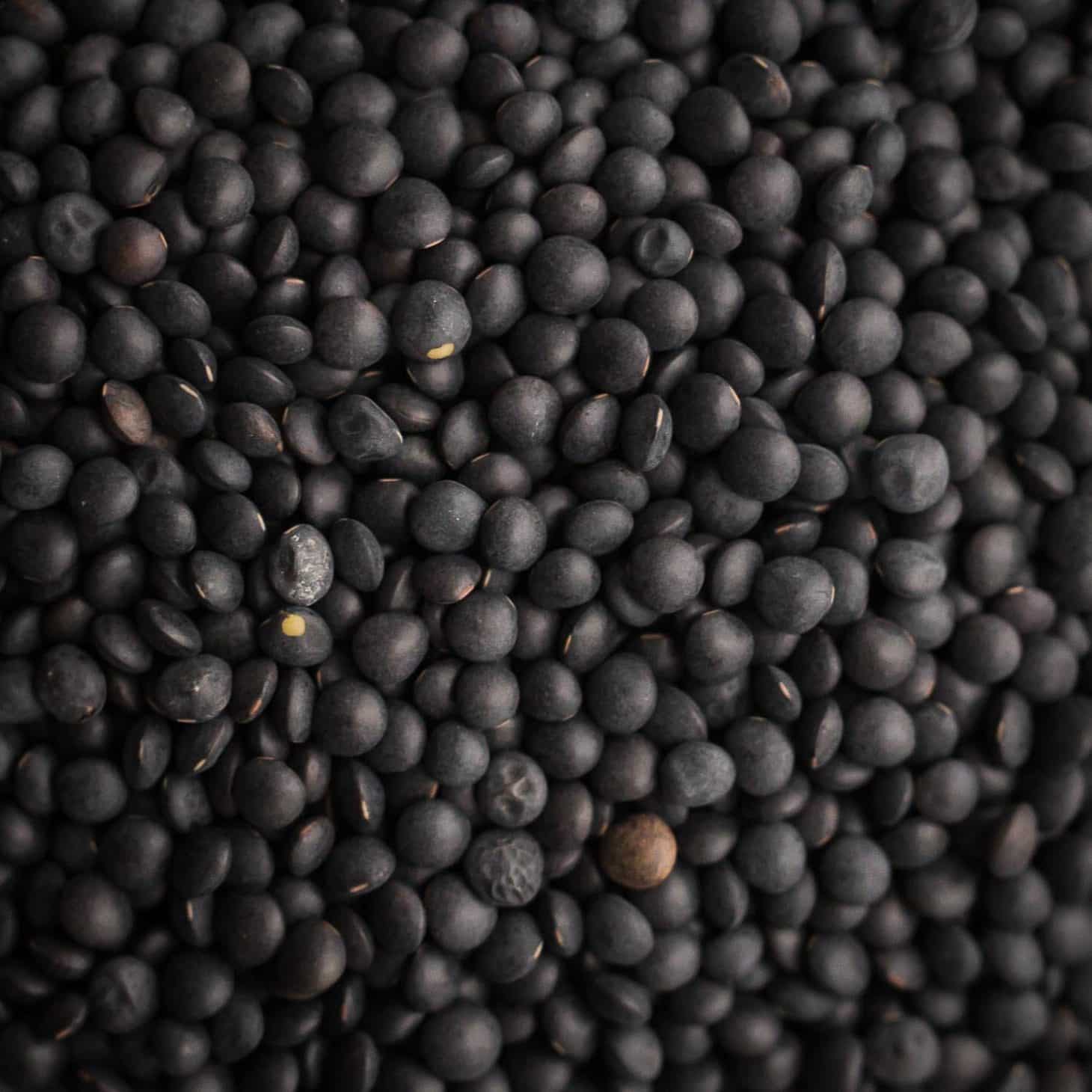 Small, black organic beluga lentils grown in Saskatchewan, ideal for protein-rich meals