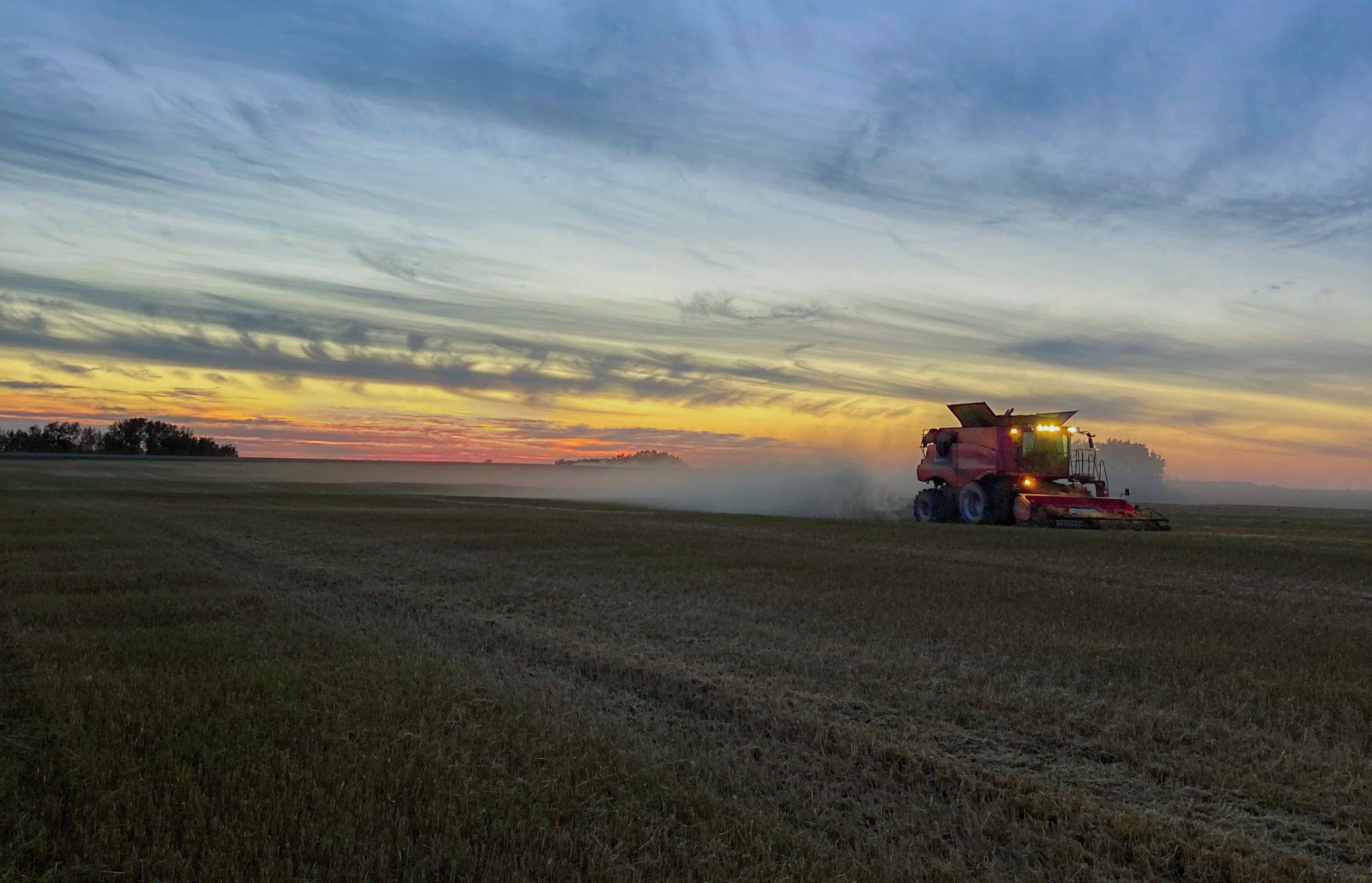 Sustainable agriculture at Living Skies Organics with a tractor on our organic grain farm in Canada