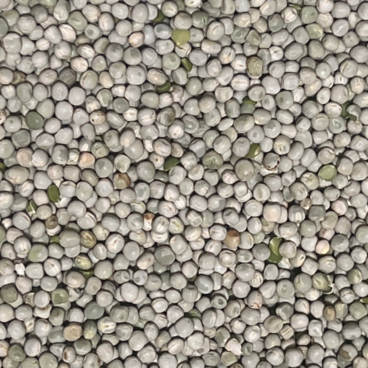Whole organic green peas grown naturally in Canada, suitable for cooking or animal feed