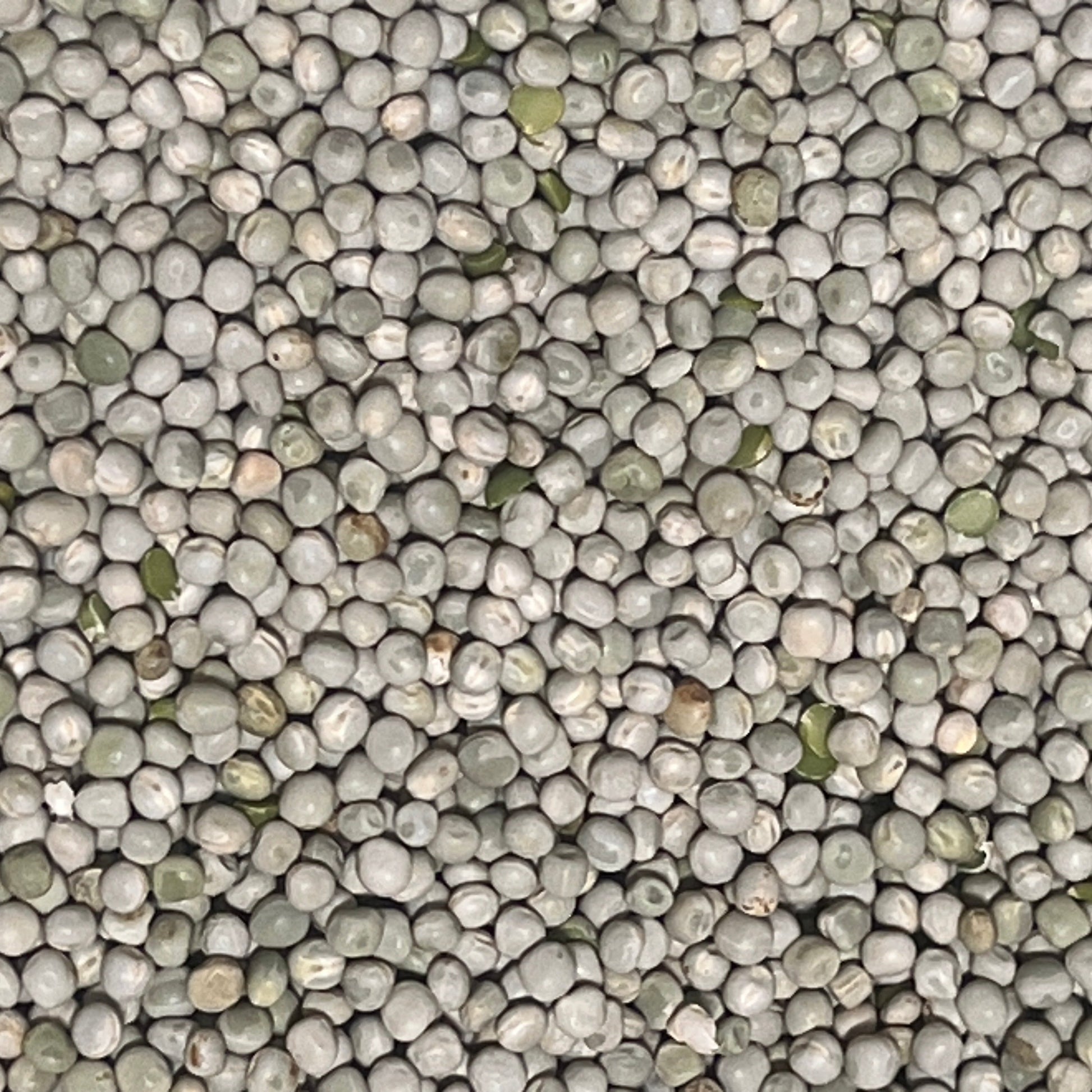 Whole organic green peas grown naturally in Canada, suitable for cooking or animal feed
