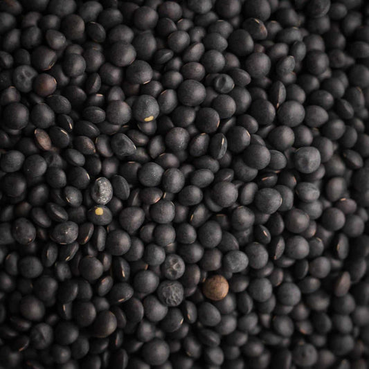 Small, black organic beluga lentils grown in Saskatchewan, ideal for protein-rich meals