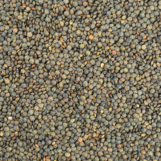 Nutty and firm organic French green lentils grown on certified Canadian organic farmland