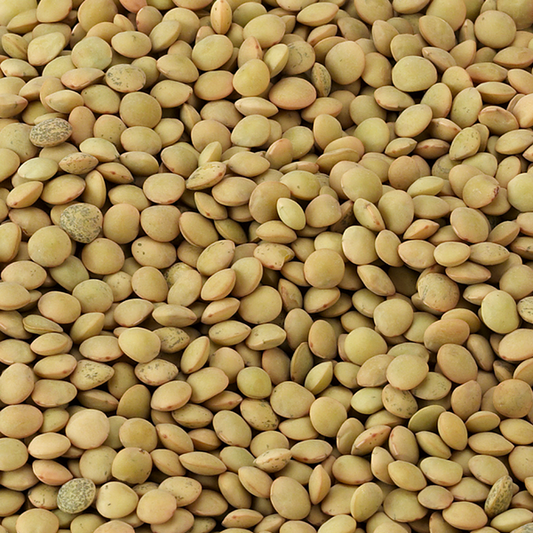 Mild-flavored small green lentils grown on a certified organic farm in the Canadian prairies