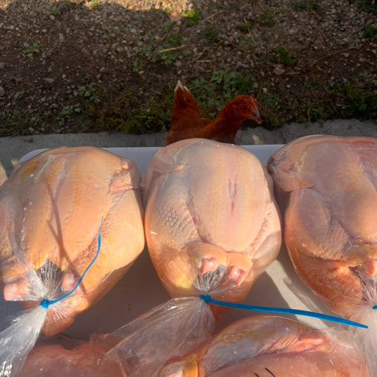 Pasture-raised organic whole chickens available for pre-order, raised on a family-run farm